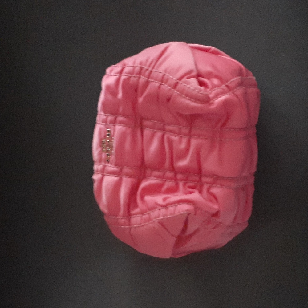 Coach makeup bag